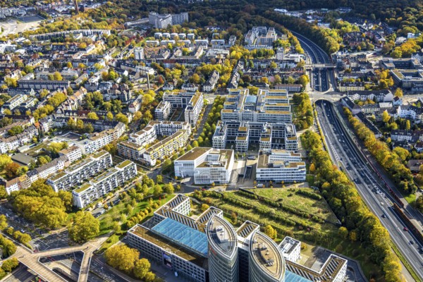 Aerial view, Messeallee office building, A52 motorway, autumn trees and tree-lined avenue, Bredeney, Essen, Ruhr area, North Rhine-Westphalia, Germany, DE, Europe, business center, aerial photography, aerial photography, Messe Essen, exhibition grounds, overview, birds-eyes view, overview