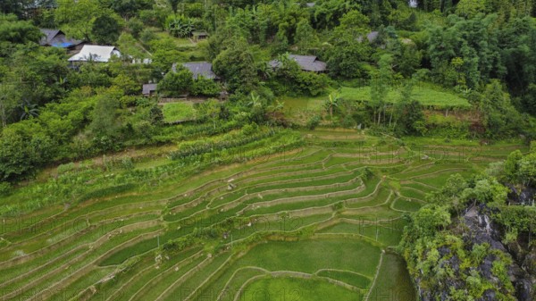A drone view of rice terraces and a stream in the mountains of Sa Pa, Vietnam, Asia