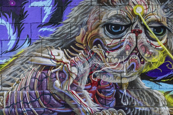 Wall painting, street art on the walls of the Danube Canal, Schwedenplatz, Vienna, Austria