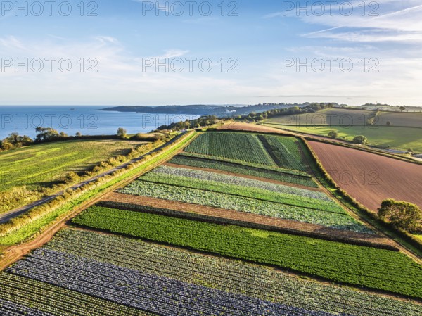 Fields and Farms at evening sun from a drone, Shaldon, Torquay, Devon, England, United Kingdom