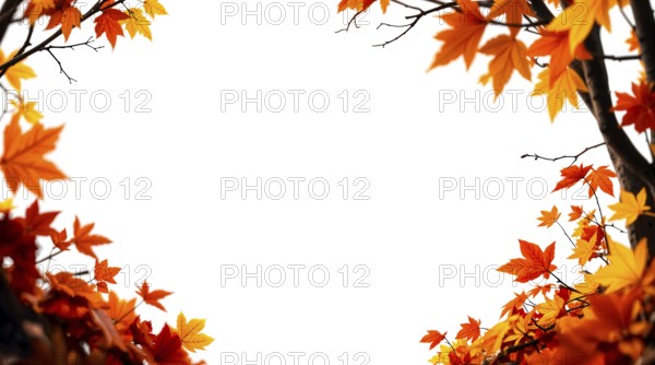 Bright autumn trees with golden leaves, autumnal frame on clean white background with copy space for text in the center. AI generated