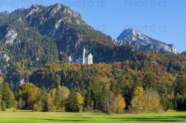 Neuschwanstein Castle in an extensive autumn landscape with mountains and green meadows in the foreground, Schwangau, Königswinkel, Ostallgäu, Allgäu, Swabia, Bavaria, Germany