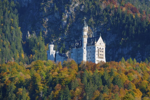 Neuschwanstein Castle rises between autumnal forests and steep mountains in an alpine landscape, Schwangau, Königswinkel, Ostallgäu, Allgäu, Swabia, Bavaria, Germany