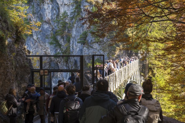 Crowds of people on the narrow Marienbrücke near Neuschwanstein Castle in an autumnal landscape with steep cliffs, Schwangau, Königswinkel, Ostallgäu, Swabia, Bavaria, Germany
