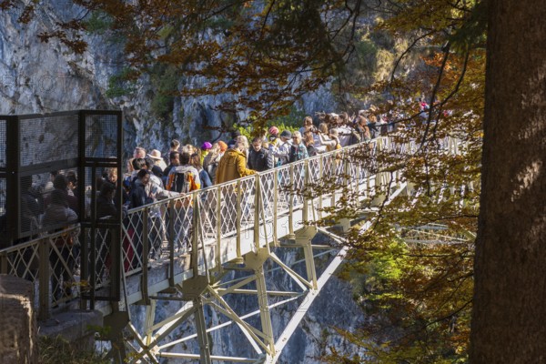 People on the Marienbrücke near Neuschwanstein Castle in autumn, surrounded by trees and rocks, enjoying nature, Schwangau, Königswinkel, Ostallgäu, Allgäu, Swabia, Bavaria, Germany