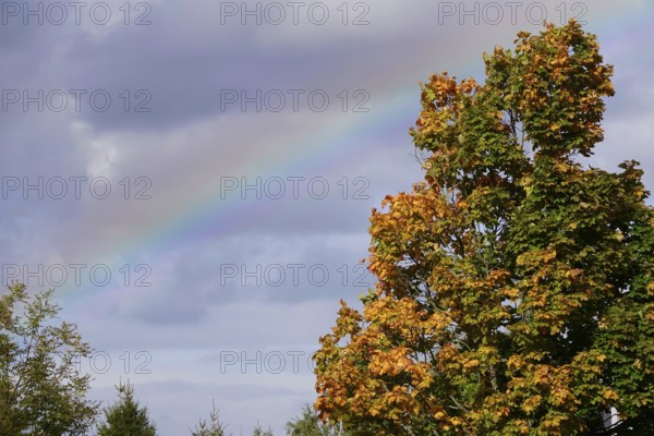 Rainbow, autumn time, Germany