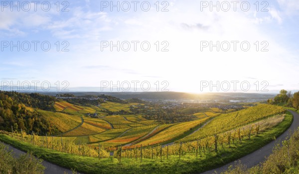 Extensive panorama of the vineyards on Kappelberg near Fellbach in warm evening light with views of Stuttgart and Rotenberg in colorful autumn