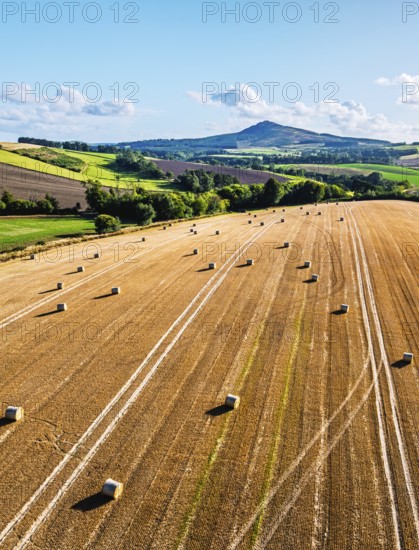 Straw bales in the Scottish fields from a drone, Southeast Scotland, UK