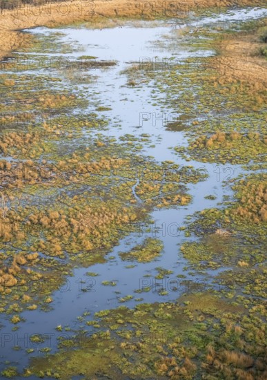Marshland along a river, marshland, aerial view, Okavango Delta, Botswana