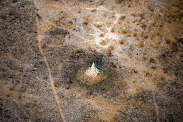 Savanna landscape with yellow grass and termite hills, aerial view, Okavango Delta, Botswana