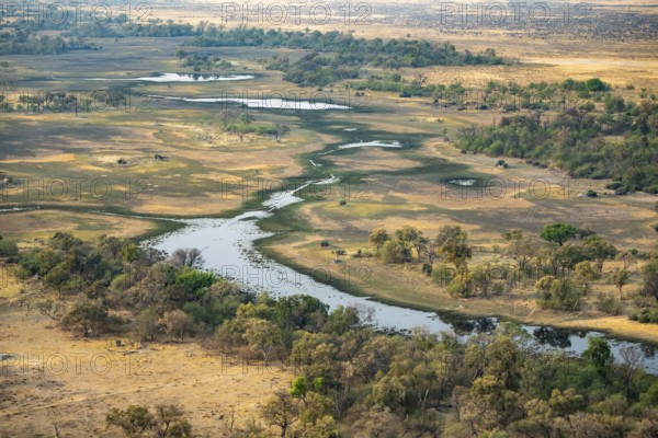 River landscape with green trees, savanna landscape, aerial view, Okavango Delta, Botswana