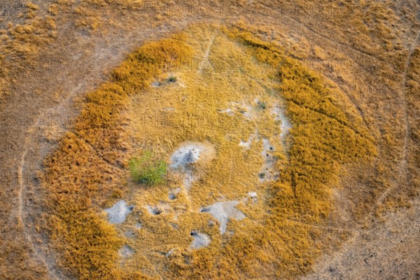 Savanna landscape with yellow grass and termite hills, aerial view, Okavango Delta, Botswana