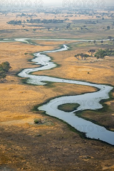 River landscape, idyllic river course with flocks of animals, savanna, aerial view, Okavango Delta, Botswana