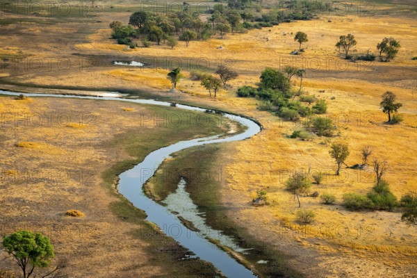 River landscape in savanna, aerial view, Okavango Delta, Botswana