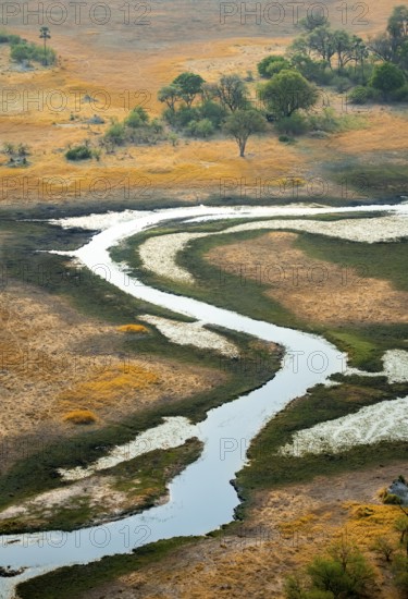 River landscape in savanna, aerial view, Okavango Delta, Botswana