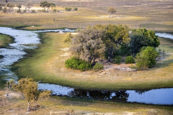 Savanna landscape on the river, aerial view, Okavango Delta, Botswana