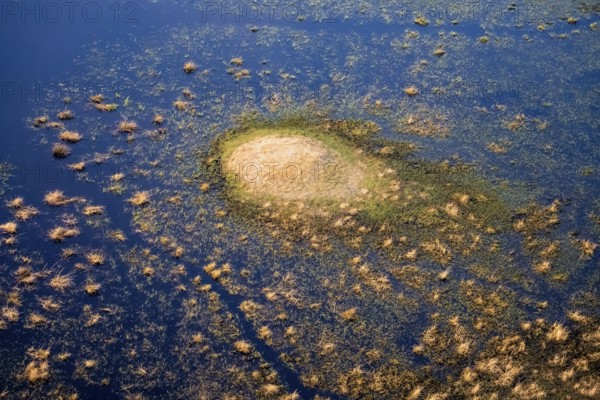 Marsh landscape, river with small island, aerial view, Okavango Delta, Botswana