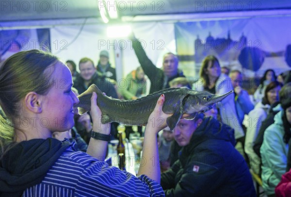 Moritzburg Fish and Forest Festival, fish auction for Albert Schweitzer Children's Village Steinbach, Moritzburg, Saxony, Germany