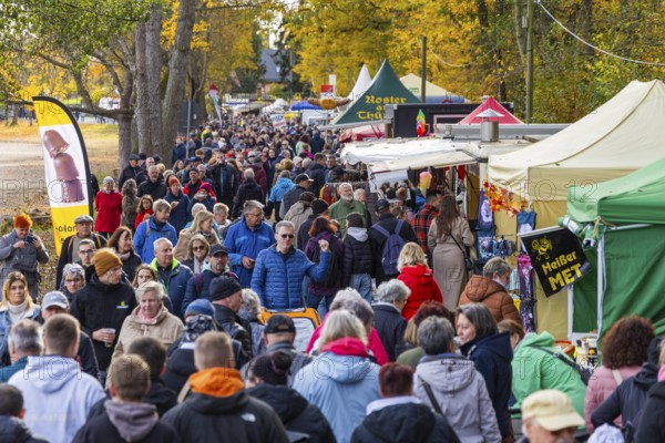 Moritzburg Fish and Forest Festival, visitors flocked in droves to the diverse offerings for all senses, Moritzburg, Saxony, Germany