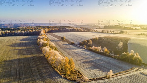 Bird Eye Perspective of Frost Covered Farmland. Seasonal Agricultural Scenery, winter and autumn scene, blue sky with golden light at sunrise, AI generated