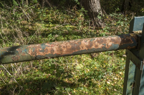 Borken, NRW, Germany, Rust and peeling paint corroding a green metal barrier in a forest setting