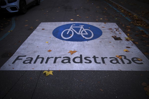 Traffic sign bicycle road, logo, on asphalt of a road, autumn leaves, leaves, autumn, Feuerbach district, Stuttgart, Baden-Württemberg, Germany