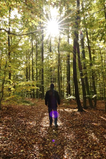 Hikers in autumn forest, October, Germany