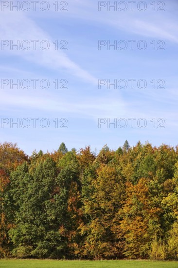 Autumn time, autumn leaves, October, Germany