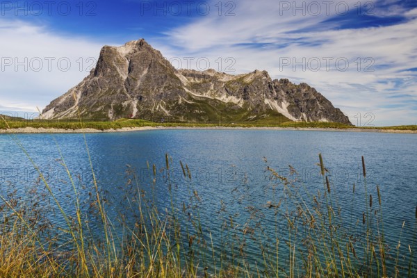 The panoramic lake on Saloberkopf with the Großer Widderstein mountain in the background and grasses in the foreground, Wart, Bregenz, Vorarlberg, Austria