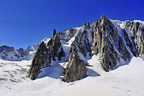 View of the mountain from the Télécabine Panorama Railway, Le Mont Blanc du Tacul, in the foreground the glacier du Géant, Chamonix-Mont-Blanc, Haute-Savoie, France