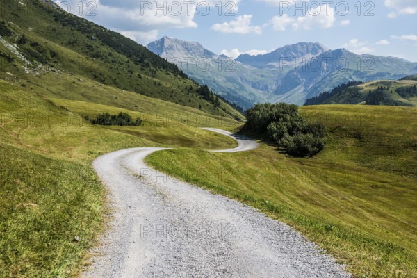 Mountain landscape and winding road, Auenfeldalpe, Warth, Bregenzerwald, Vorarlberg, Alps, Austria