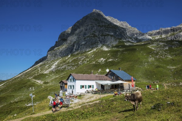 Berglandschaft und Berggasthof, Widderstein Hütte, Widderstein, Warth, Bregenzerwald, Vorarlberg, Alps, Austria