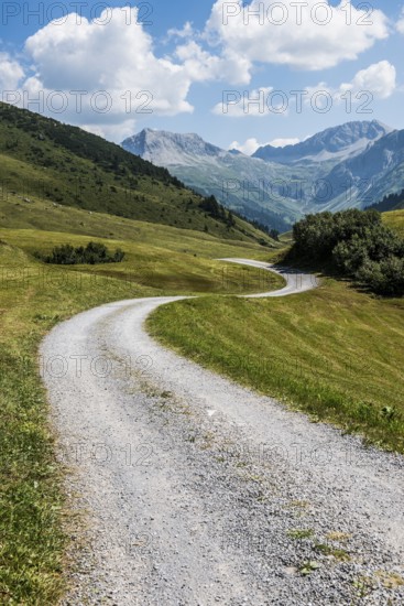 Mountain landscape and winding road, Auenfeldalpe, Warth, Bregenzerwald, Vorarlberg, Alps, Austria