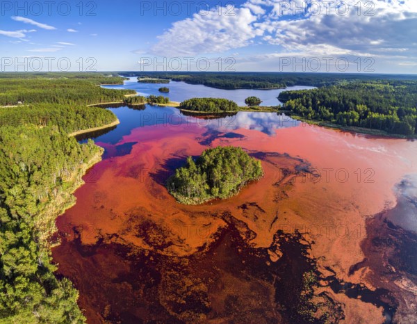 Red algae plant on the lake. abstract ecology nature concept, wild landscape with vibrant red colored water and green forest on a sunny day in summer, Aerial view, wilderness nature with no people around, AI generated