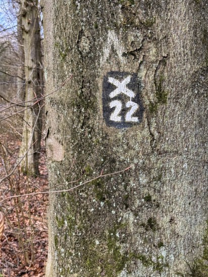 Official marking for hiking trail in Wald an Baumstamm, North Rhine-Westphalia, Germany
