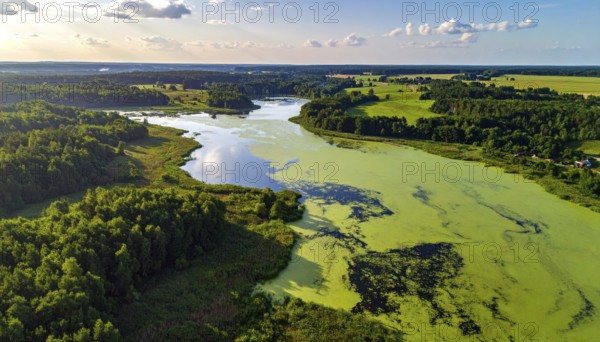 Green algae on the lake. Aerial view of nature, landscape with hills and forest in summer, cloudy sky, golden light at sunset, AI generated
