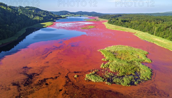 Red algae plant on the lake. abstract ecology nature concept, wild landscape with vibrant red colored water and green forest on a sunny day in summer, Aerial view, wilderness nature with no people around, AI generated