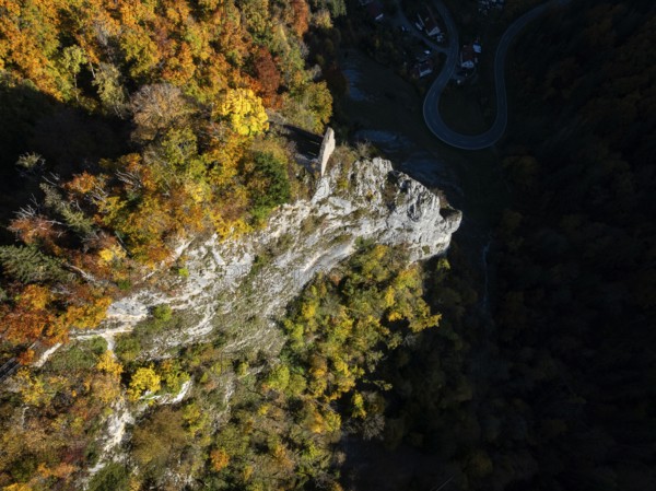 Aerial view of the viewpoint, shovels and Hausen Castle, also known as the Hausen ruins, surrounded by autumn vegetation, a ruin of a castle above the village of Hausen in the valley in the Upper Danube Valley, Beuron, Sigmaringen district, Baden-Württemberg, Germany