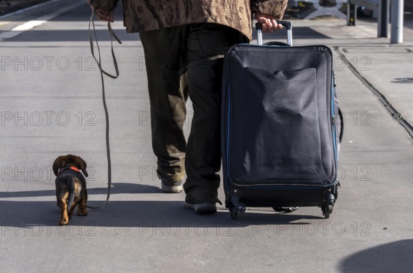 Traveler with trolley and dachshund on a leash, on a platform at Essen Central Station, North Rhine-Westphalia, Germany