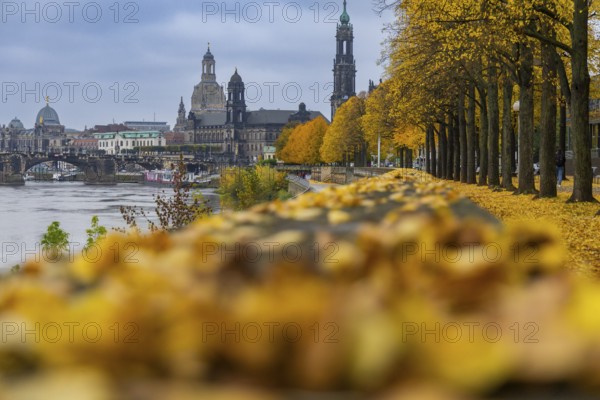 Autumn at the New Terrace on the Elbe, Dresden, Saxony, Germany