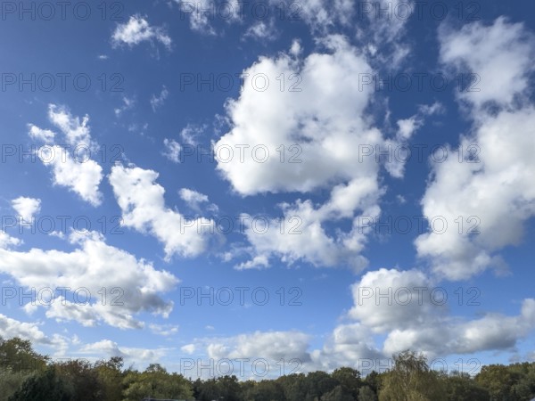 White clouds driven by approaching storm Cumulus above Altocumulus loosened cloud over treetops of mixed forest, international