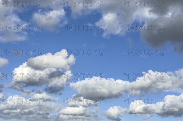 White clouds driven by approaching storm Cumulus Stratocumulus loose to thick cloud against blue sky, international