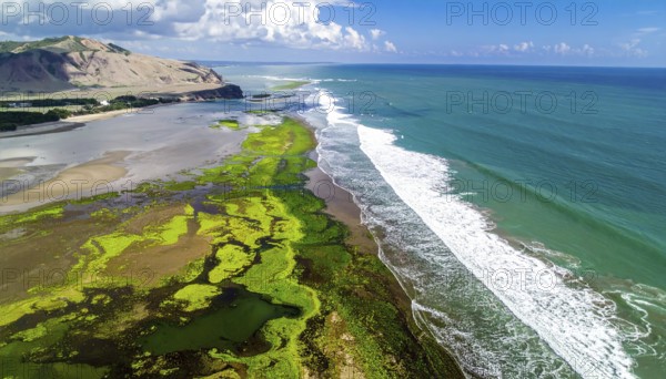 Green algae on the sandy shore of an ocean. Fascinating phenomenon of wild coastline with green plants, white sands, stone, blue water and cliffs, Aerial view of a beautiful abstract unreal and textured landscape, AI generated