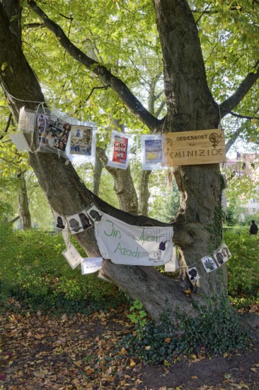 Installation on feminicides, reminder, violence against woman, memorial site, plane tree alley on Neckar Island, Tübingen, Baden-Württemberg, Germany