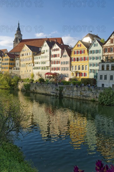Historic houses on the Neckar front, the Neckar river, water reflection, old town of Tübingen, Baden-Württemberg, Germany
