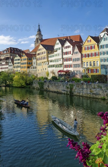 Historic houses on the Neckar front, the Neckar river with poking and water reflection, old town of Tübingen, Baden-Württemberg, Germany