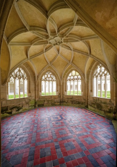 Loop star vault, interior view, Bebenhausen Abbey, former Cistercian Abbey, monastery complex, church, OT Bebenhausen, Tübingen, Baden-Württemberg, Germany