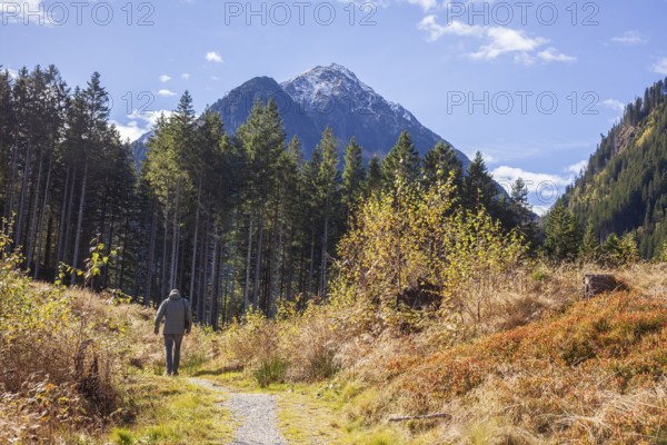 Forest and mountains with hikers and hiking trail near Ranalt in autumn, Ranalt, Neustift im Stubai Valley, Stubai Valley, Tyrol, Austria