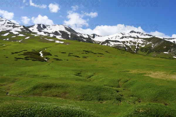 Green landscape with snow-capped mountains under blue sky, Zagari Pass, Svaneti, Greater Caucasus, High Caucasus, Georgia