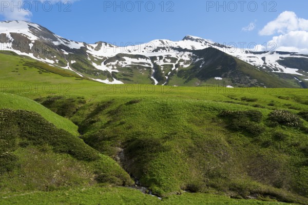 Wide green hills under clear skies with snowy peaks, Zagari Pass, Svaneti, Svaneti, Greater Caucasus, High Caucasus, Georgia